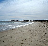 Greens Beach Caravan Park - C Tourism