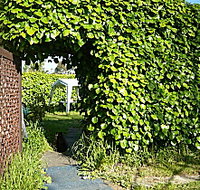 Kirra Guest House - C Tourism