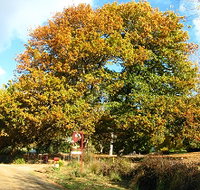Red Rooster Host Farm - C Tourism
