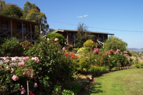 Mole Creek Holiday Village - C Tourism 0