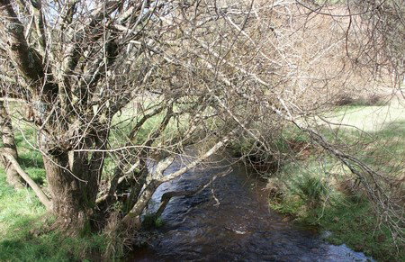 Penguin Valley Farm - C Tourism 1