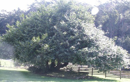 Penguin Valley Farm - C Tourism 3