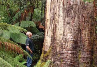 Fingal Hotel - C Tourism 5