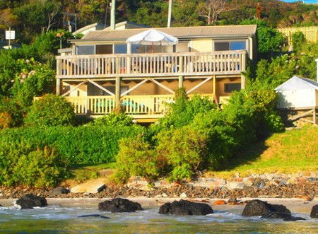 Tidal Whispers - C Tourism 1