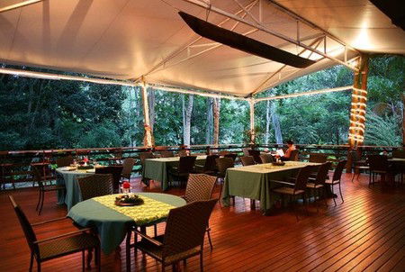 Cedar Park Rainforest Resort - C Tourism 5