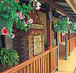 Curtain Fig Motel - C Tourism