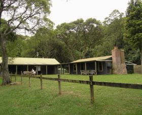 Tree Fern Lodge - C Tourism 0