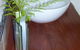 Bellbird Cottage Bed And Breakfast - thumb 0