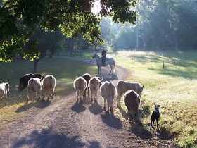 Brooloo Park - C Tourism 0