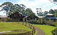 Indooroopilly - thumb 1