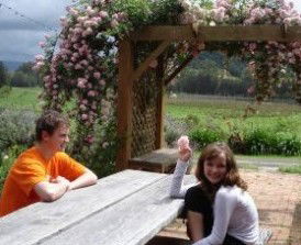 Back Forest Retreat - C Tourism 1