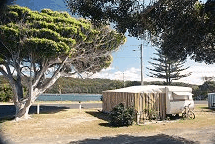 Wooli Camping And Caravan Park - C Tourism 2