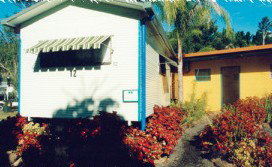 Lismore Palms Caravan Park - C Tourism 2