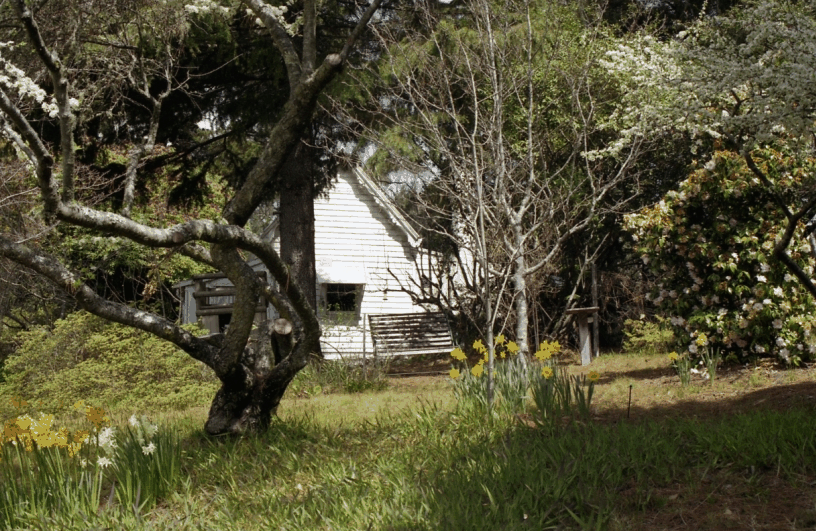 Avoca Cottage - C Tourism 3