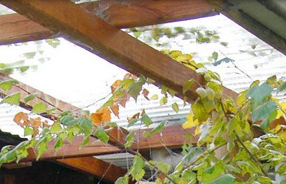 Cooma Bunkhouse Motel - C Tourism 2