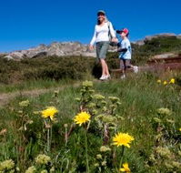 Horizons Apartment 407 - C Tourism