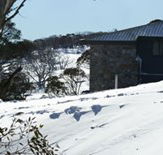 Barina Milpara Lodge - C Tourism