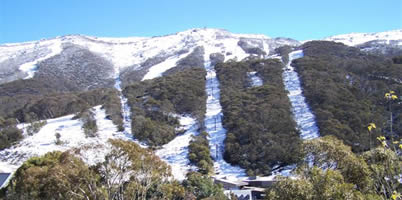 Snowgoose Apartments - C Tourism 5