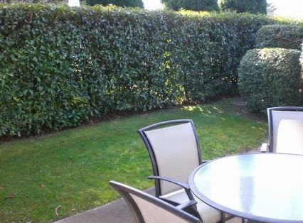 Boronia Lodge Apartments - C Tourism 3