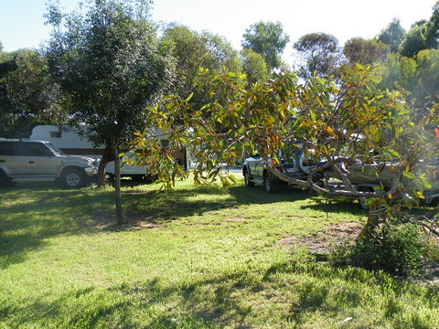 Kyalite Caravan Park - C Tourism 3