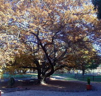 Hillview Oak Bed and Breakfast - C Tourism