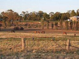 Junee Motor Inn - C Tourism 2
