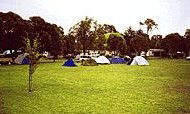 Armidale - Pembroke Tourist And Leisure Park - C Tourism 1