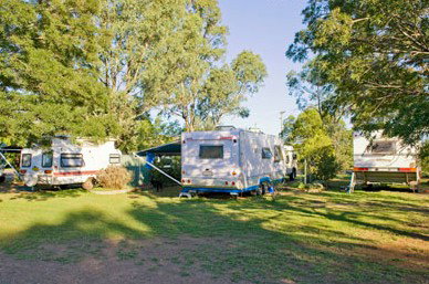 Barraba Caravan Park - C Tourism 4