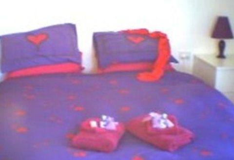 Aloomba Lavender - Accommodation - C Tourism 0