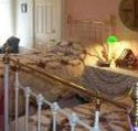 A Winter-Rose Cottage Bed and Breakfast - C Tourism