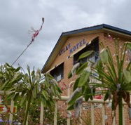 Atlas Motel Dubbo - C Tourism