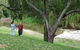Apex Riverside Tourist Park - thumb 4