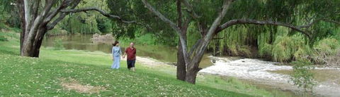Apex Riverside Tourist Park - C Tourism 4