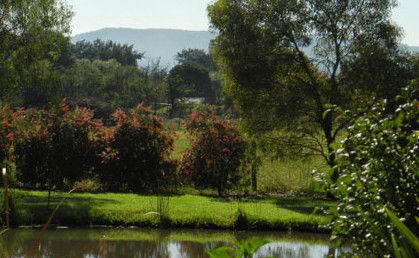 Amazing Country Escapes - Evanslea By The River - C Tourism 4