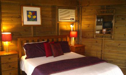 Explorers' Haven - C Tourism 0