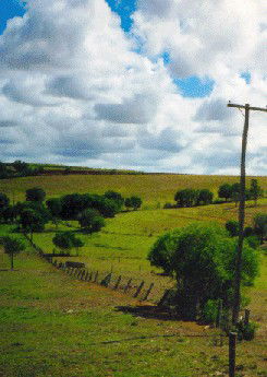 Mango Hill Cottages Bed And Breakfast - C Tourism 2