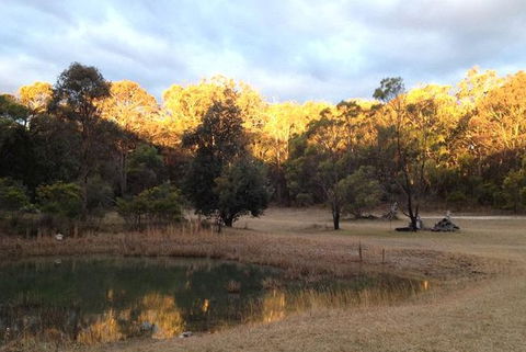 Possums Hollow And Hooters Hut - C Tourism 1