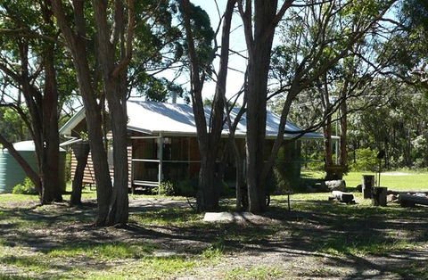 Possums Hollow And Hooters Hut - C Tourism 5