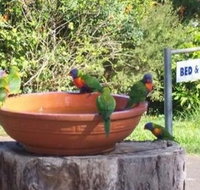 Lamb Island Bed and Breakfast - C Tourism