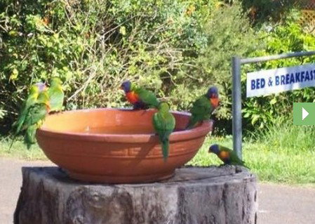 Lamb Island Bed And Breakfast - C Tourism 0