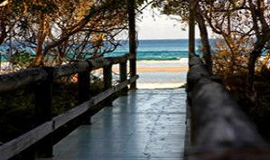 Anchorage Beachfront Island Resort - C Tourism 4