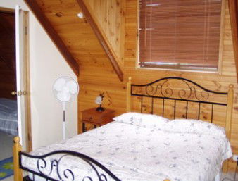 A Little Bit Of Heaven - Holiday Home - C Tourism 2