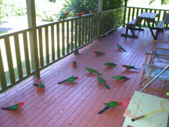 A Little Bit Of Heaven - Holiday Home - C Tourism 8