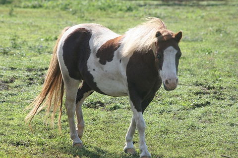 Lee Farmstay - C Tourism 4