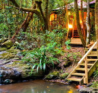 The Mouses House - Rainforest Retreat - C Tourism