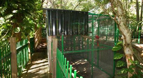 Ashmore Palms Holiday Village - C Tourism 3