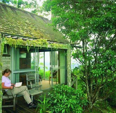 Binna Burra Mountain Lodge - C Tourism 3