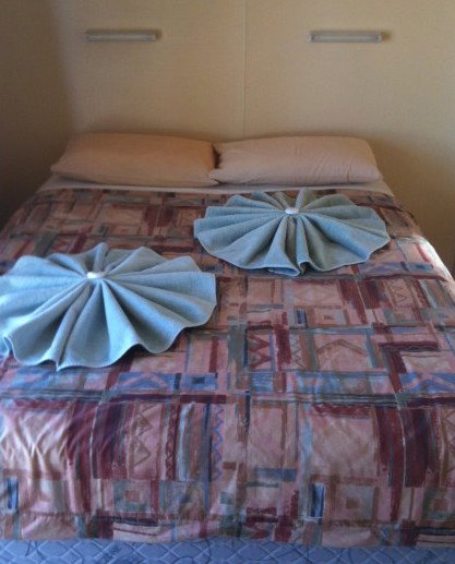 Wauchope Hotel - C Tourism 4