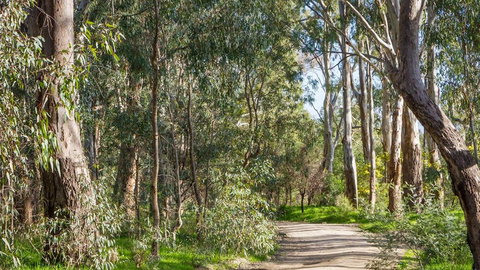 Time Out Holiday Park - C Tourism 1