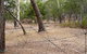 UC Camping Norval - thumb 4